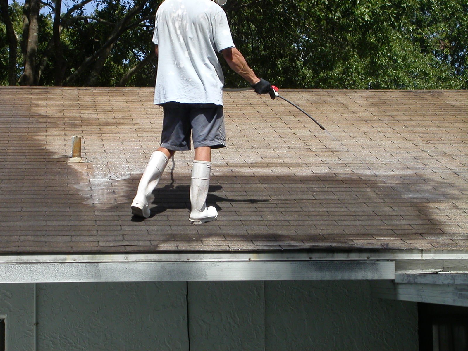 Shingle Roof Cleaning